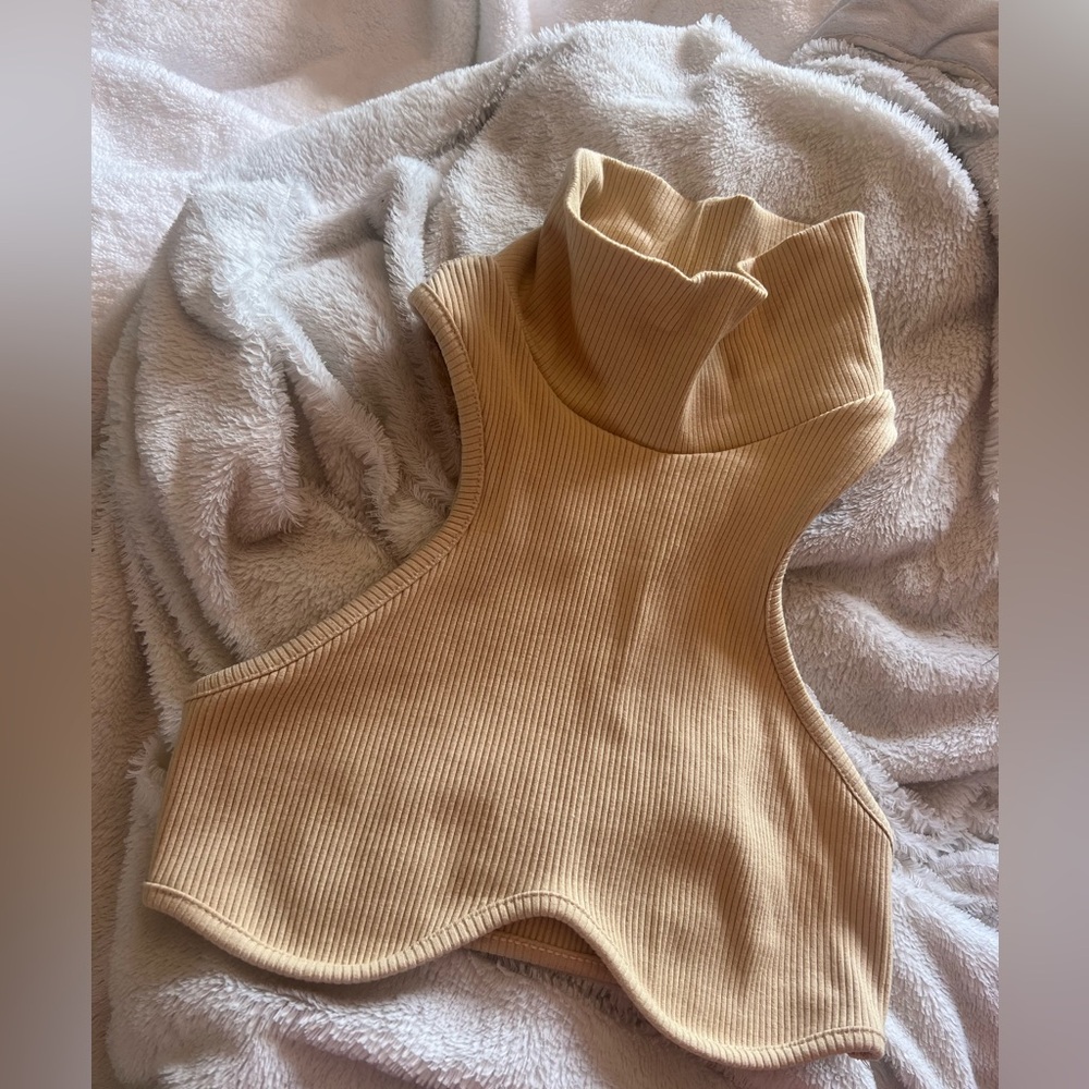 Fashion Nova turtleneck crop top